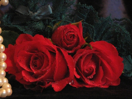 Red roses - pearls, beauty, roses, soft, water drops, tender, rose, romantic, red, petals, beautiful, green, ribbon, flowers, red roses