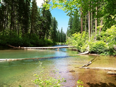 Smooth River - water, sky, trees, river