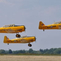 SNJ Harvard Formation