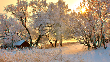 Splendid Winter Daybreak - warm, house, trees, winter, snow, lovely, sun, sky