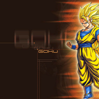 Dragon Ball Z Goku 3