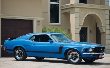 1970 mustang boss 302 - 302, mustang, 1970, boss