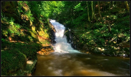 Small Falls - water, falls, trees, bushes