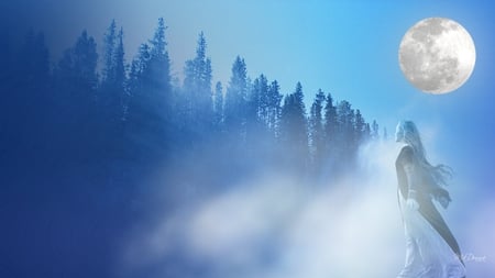 Lady in the Mist - woman, sky, lady, trees, foggy, mist, forest, woods, blue, full moon, fog, misty