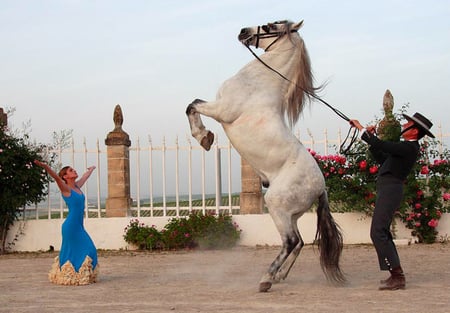 Beautiful Horse! - horses