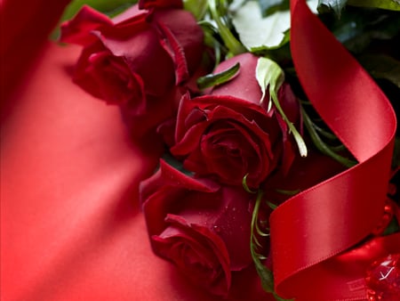 Roses For Juliannaa - beauty, gift, roses, photography, bouquet, rose, still life, with love, for love, pretty, valentines day, drop, romance, ribbon, red roses, drops, love, for you, lovely, nature, floral, romantic, red, beautiful, flowers, juliannaa, red rose