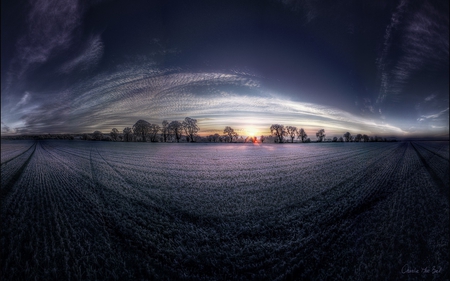 field and sky