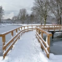 Snow-covered_city_park