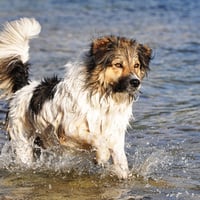 Water play time.