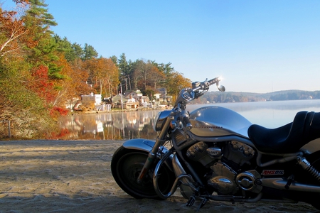 Late Fall - harley, new england, fall, hanzo