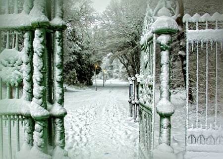 Looking Through the Gates - winter, fence, tree, gates