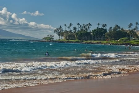 Beach Shore - beach, sand, sky, ocean