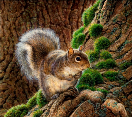 Sweet squirrel - animal, squirrel, painting, nature, art