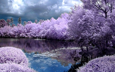 PURPLE SPRING - purple, lake, trees, reflection, clouds, spring