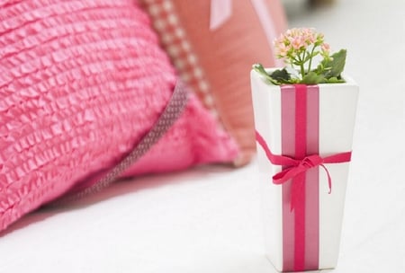 Flower on a box - soft, delicate, blooms, lovely, nature, box, blossoms, pretty flowers, bunch, flowers