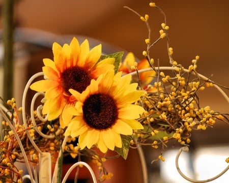 Mi querido Girasol - magnificent, sunflowers, couple, always, light, shine, wonderful, you and i, bright, nature, glow, forever, yellow, together, beautiful, friendship