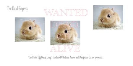 Bunny Gang - eggs, gang, wanted dead or alive, bunny