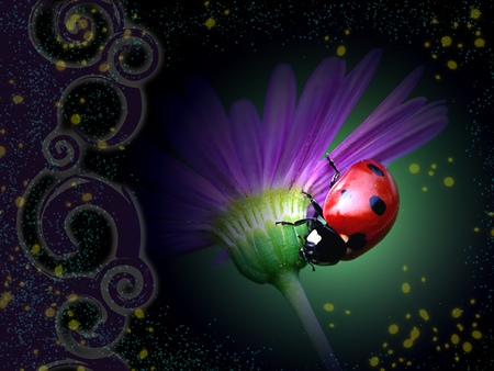 Ladybug - bug, flower, ladybug, nature