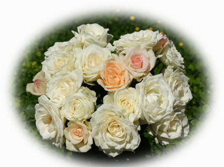 BEAUTIFUL BOUQUET - bouquet, white, roses, pink