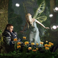 the_knight_and_the_faerie.