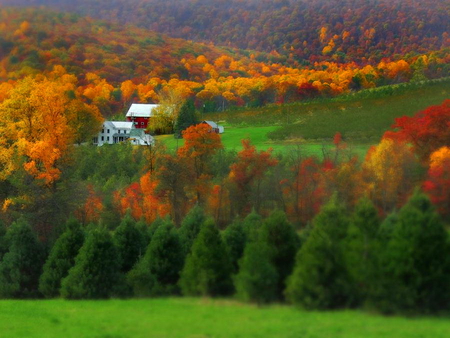 Wine country - autumn, fall, trees, mountain, green, house, wine, country