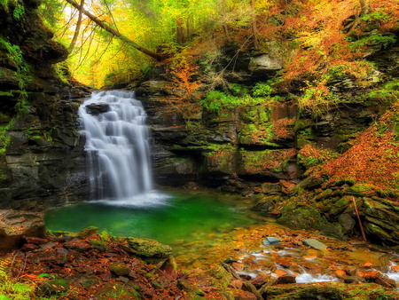 Small forest waterfall - peaceful, water, waterfall, forest, emerald, beautiful, leaves, colors, small