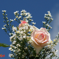 I love GOD..