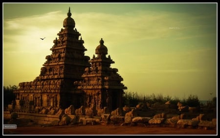 shore temple, mamallapuram - temple, shore, ancient, mamallapuram