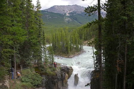 Sunwapta Falls, Jasper Canada - trees, water, mountain, falls