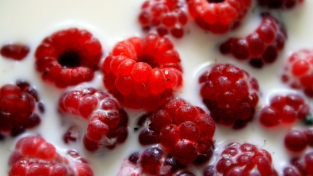 Jerry's Heaven - fruit, cream, red, raspberries