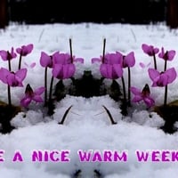 Have  a nice warm weekend