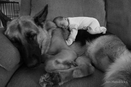 BOY AND HIS DOG - pals, baby, dog, nap