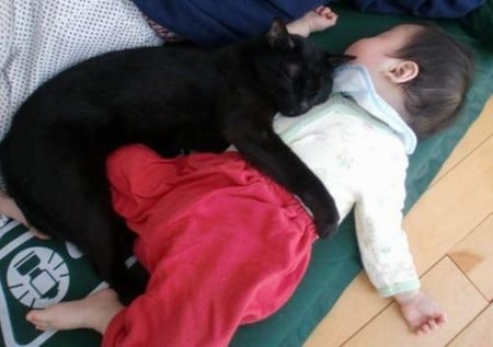 CAT NAP - napping, baby, kitty, cuddles