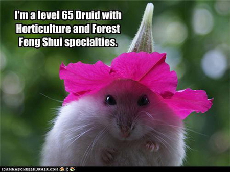 FENG SHUI - mouse, cute, hat, flower