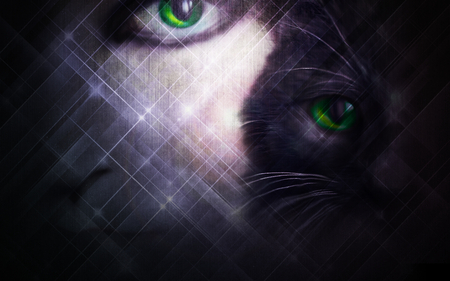 Cats eyes - eyes, cats, sparkle, green