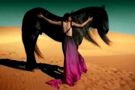 beauty - black, beauty, chill, horse