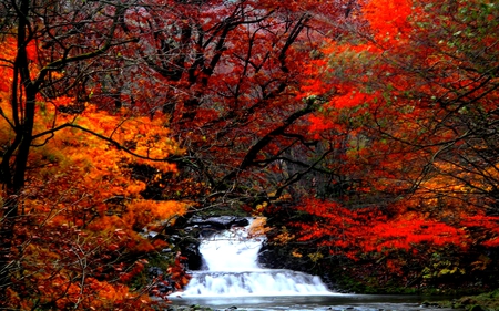 AUTUMN FALLS - forest, foliage, autumn, falls