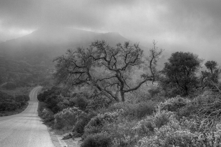 That goes far.. - mountains, black, road, fogg, misty, abstract, far, white, textures, trees, color