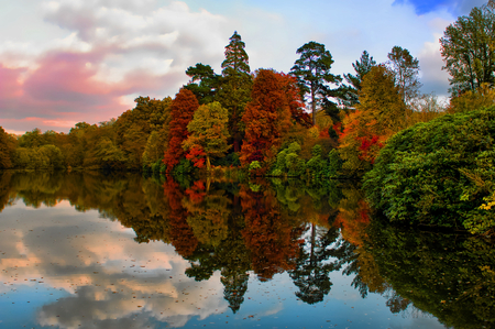 Lake - lake, landscape, tree, nature, earth