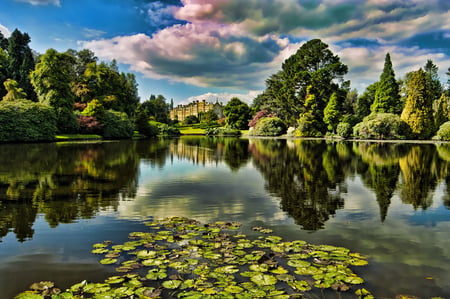 Lake - lake, landscape, tree, nature, earth