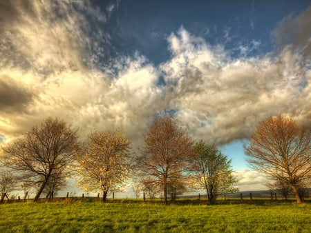 Nature - nature, cloud, landscape, tree, grass, earth