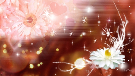 Flower Brigade - flowers, abstract, blur, summer, spring, stars, hearts, shine