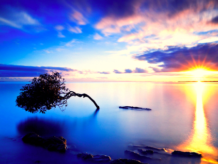 Lake Silence  - pretty, calm, horizon, lonely, yellow, blue, landscape, alone, photo, reflection, view, sky, wihte, sun, clouds, sunlight, beautiful, photography, sunshine, beauty, stones, tree, nature, sunset, peaceful, rocks