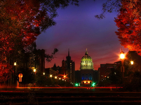 Natural frame - trees, frame, evening, city, night, natural, red, lights, sky