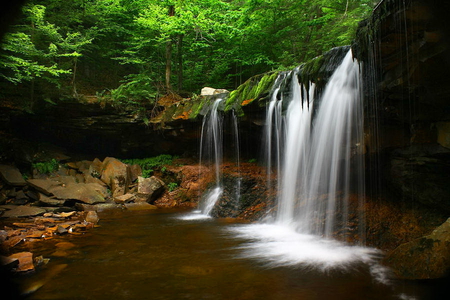 Forest waterfall - trees, forest, beautiful, stream, water, green, stones, waterfall