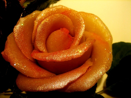 sweet roses 1 - food, wallpapers, rose, sweet