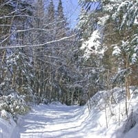 Snowshoes Excursion