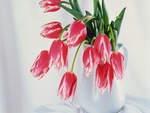 tulips still life