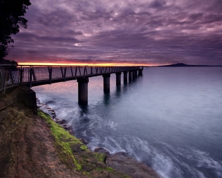 purple sunset - auckland, purple, dark, sunset, nature