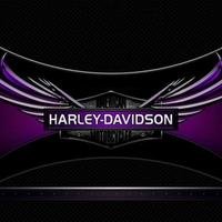 Harley Davidson World Class.2012.